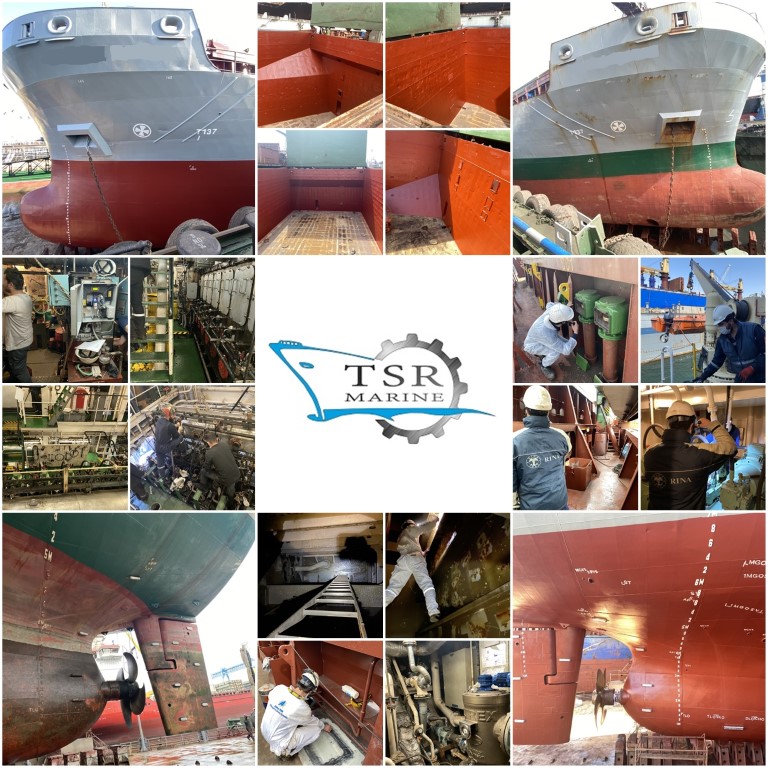 MANISA FLOYEN Linkedin